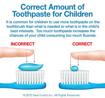 Correct amount of toothpaste for children.